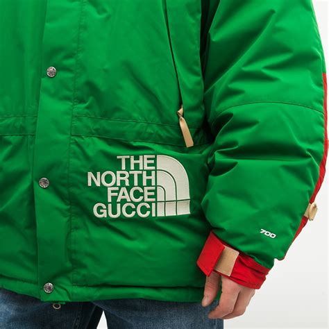 tnf gucci пуховик|north face Gucci collection.